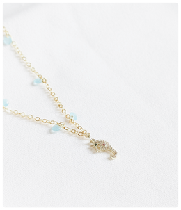 Collar en Acero Inoxidable con Caballito de Mar – Encanto Marino.